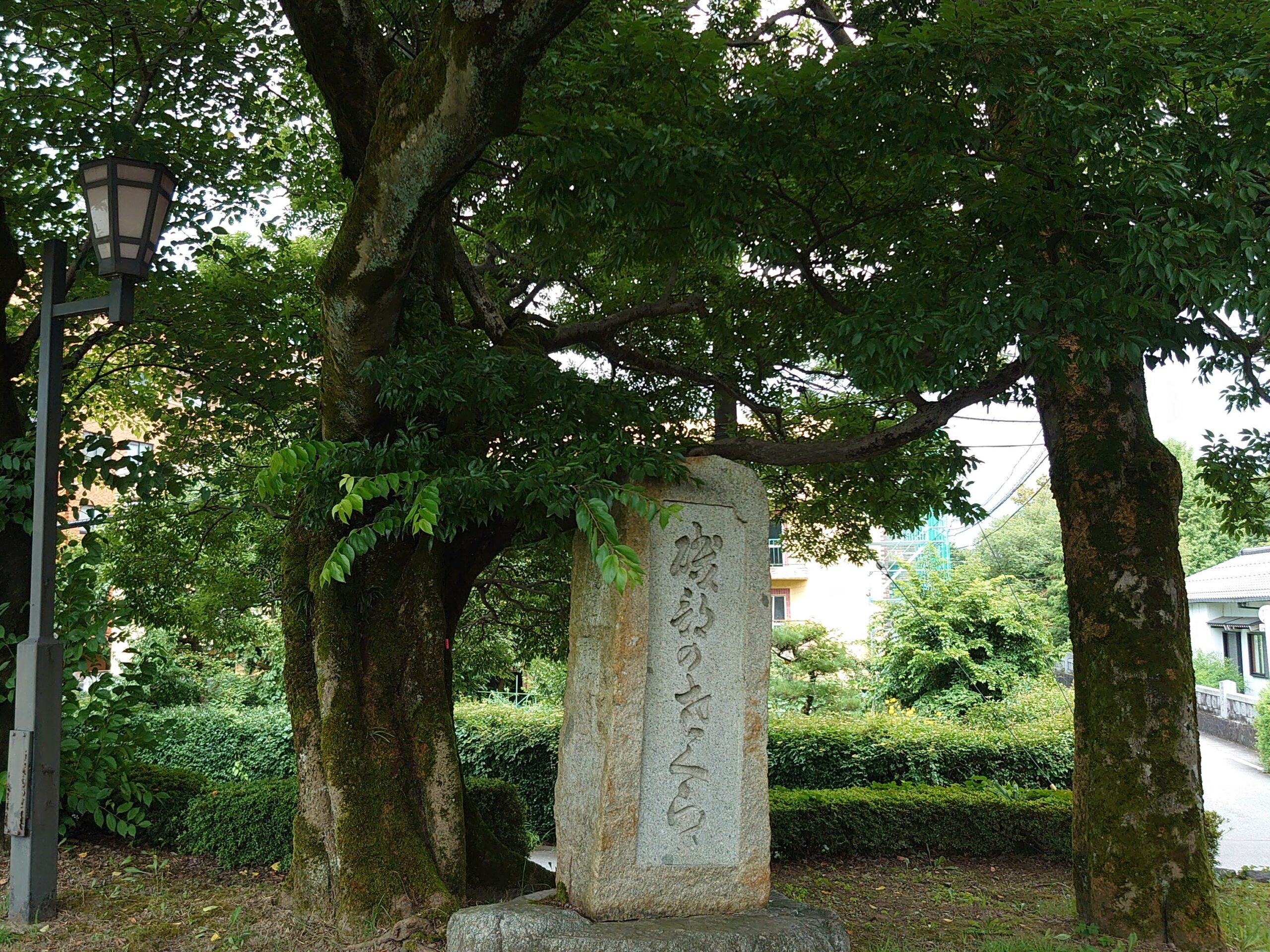 R7RA0706